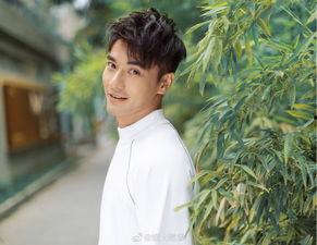 娱乐圈吃瓜酱什么是爱情,吃瓜酱眼中的爱情真谛